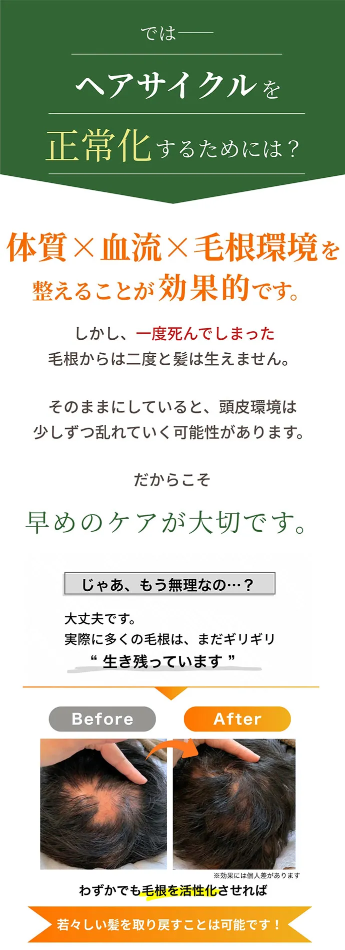 ヘアサイクルの正常化